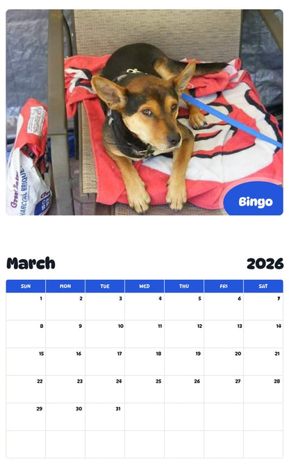 November 2025 - October 2026 Bingo - Pawidols Pet Calendar