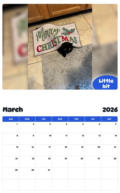 November 2025 - October 2026 Little bit - Pawidols Pet Calendar