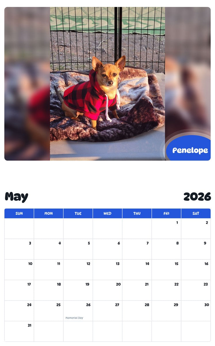 2026 - 2027 Penelope - Pawidols Pet Calendar