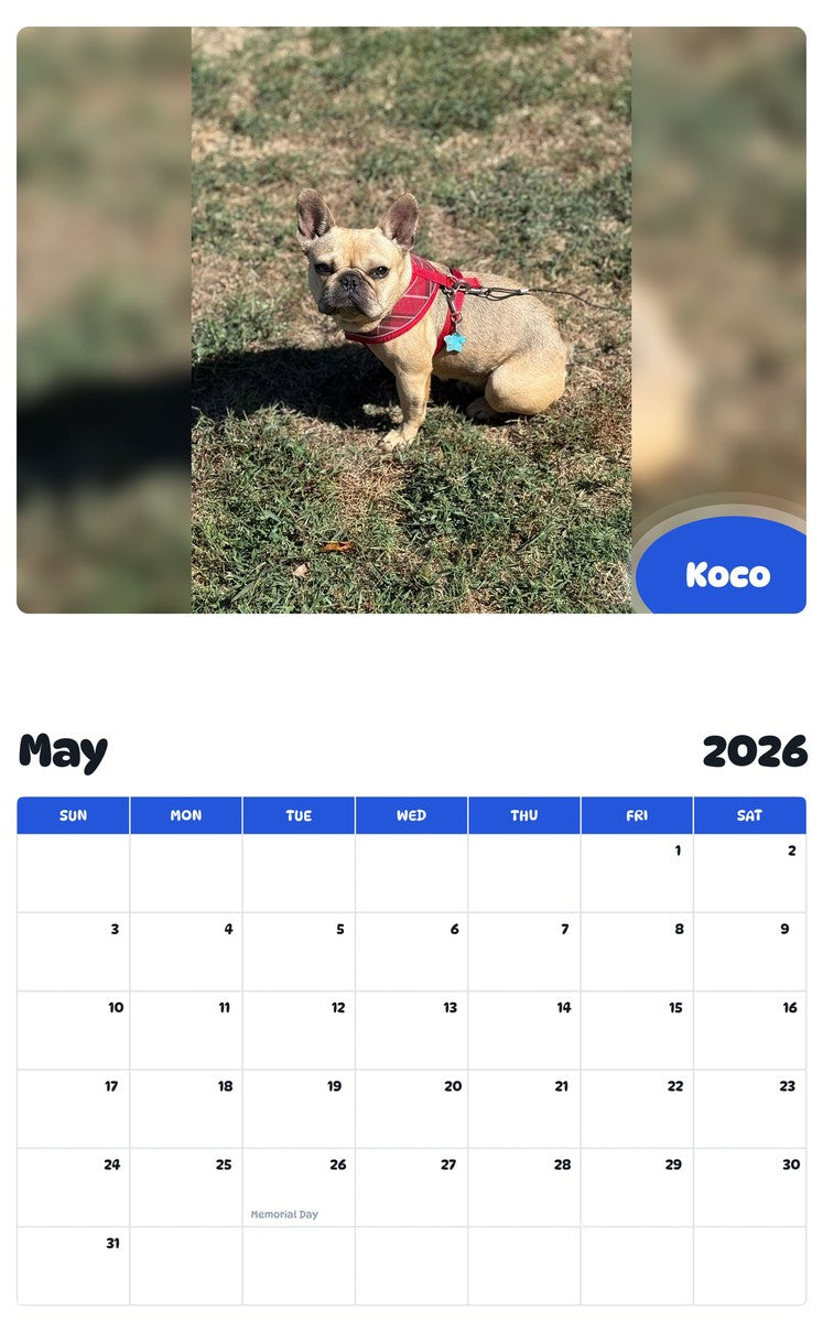 2026 - 2027 Koco - Pawidols Pet Calendar