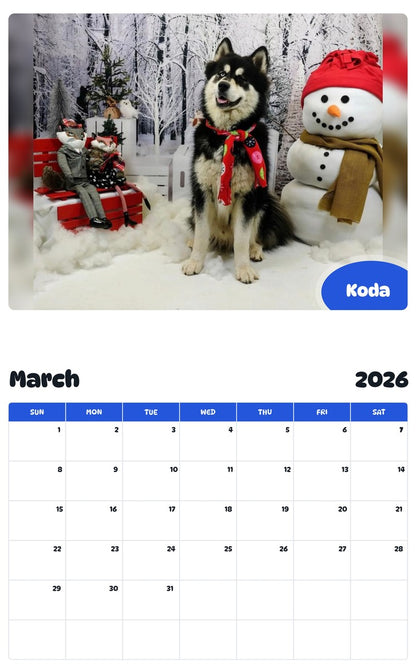 November 2025 - October 2026 Koda - Pawidols Pet Calendar