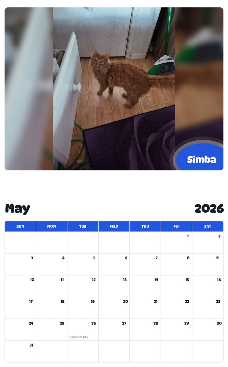 2026 - 2027 Simba - Pawidols Pet Calendar