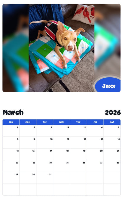 November 2025 - October 2026 Jaxx - Pawidols Pet Calendar