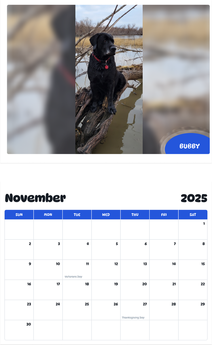 July 2025 - June 2026 Bubby - Pawidols Pet Calendar