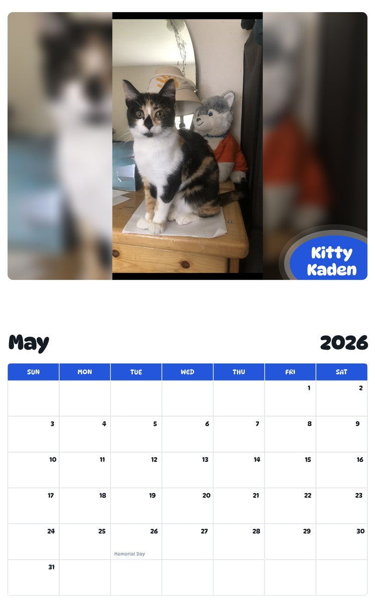 2026 - 2027 Kitty Kaden - Pawidols Pet Calendar