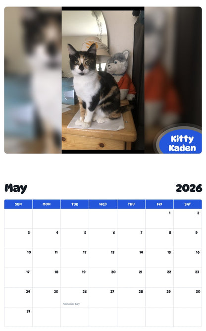 2026 - 2027 Kitty Kaden - Pawidols Pet Calendar