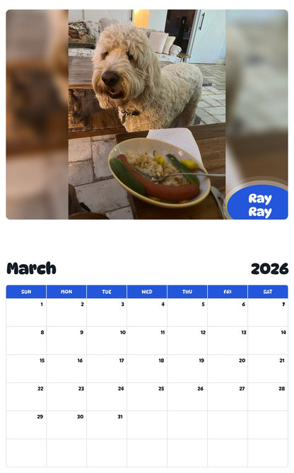 November 2025 - October 2026 Ray Ray - Pawidols Pet Calendar