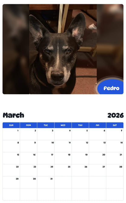 November 2025 - October 2026 Pedro - Pawidols Pet Calendar