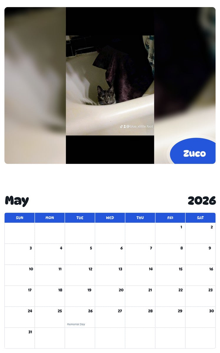 2026 - 2027 Zuco - Pawidols Pet Calendar
