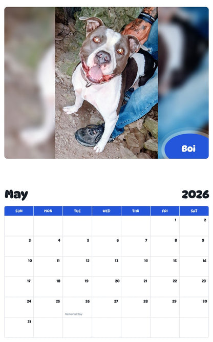 2026 - 2027 Boi - Pawidols Pet Calendar