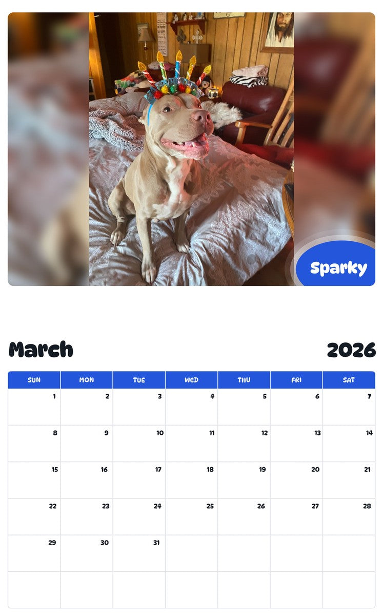 November 2025 - October 2026 Sparky - Pawidols Pet Calendar