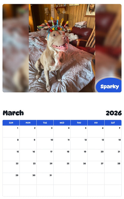 November 2025 - October 2026 Sparky - Pawidols Pet Calendar