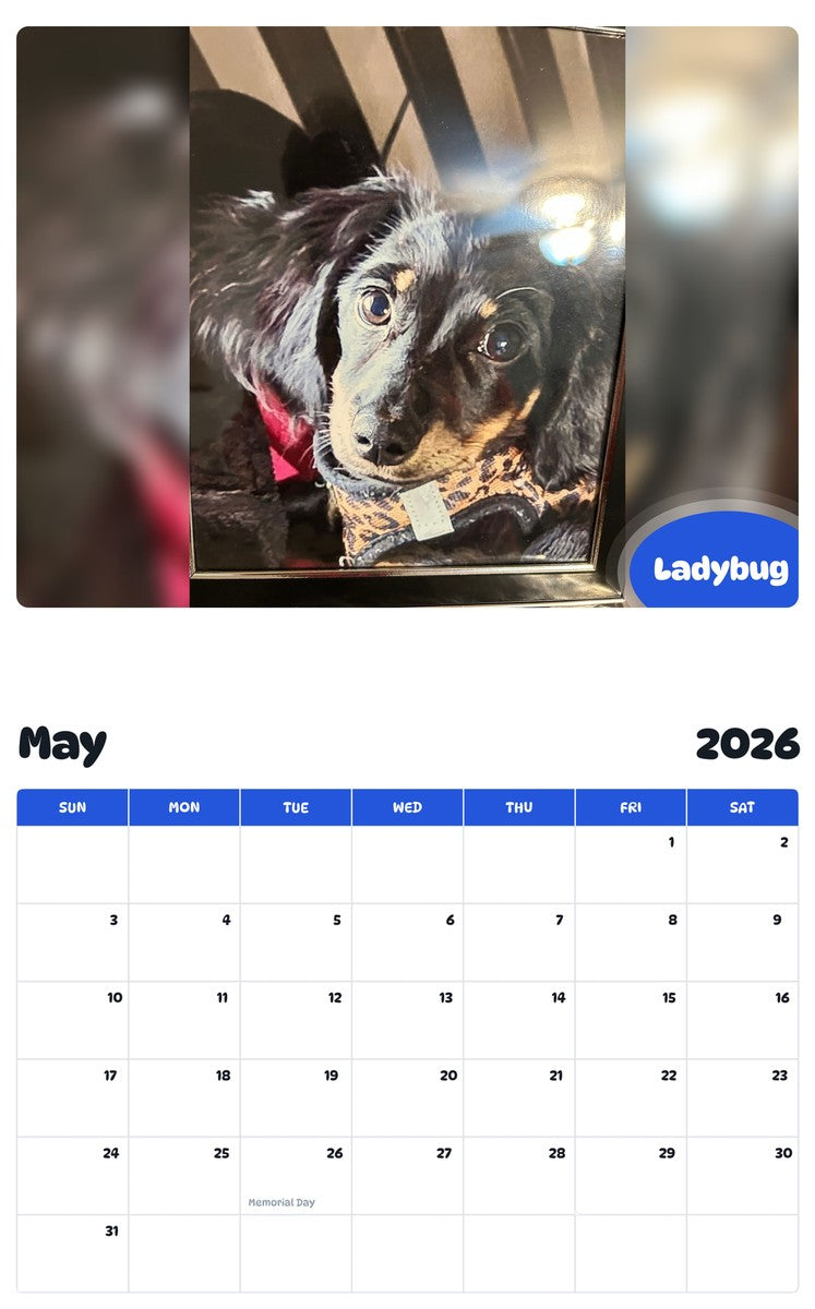 2026 - 2027 Ladybug - Pawidols Pet Calendar