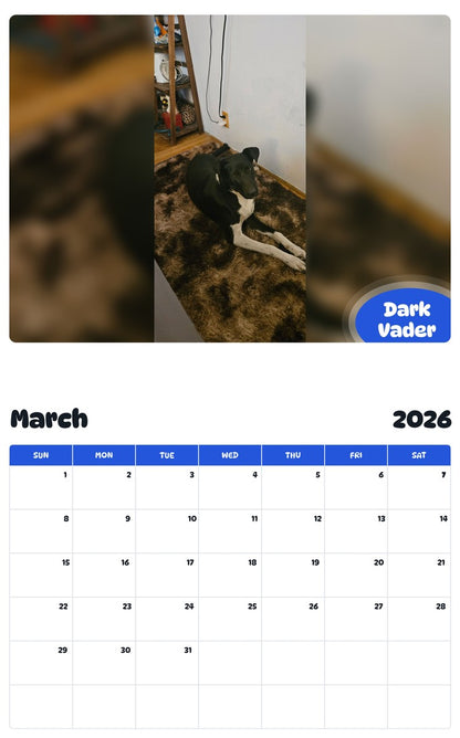 November 2025 - October 2026 Dark Vader - Pawidols Pet Calendar