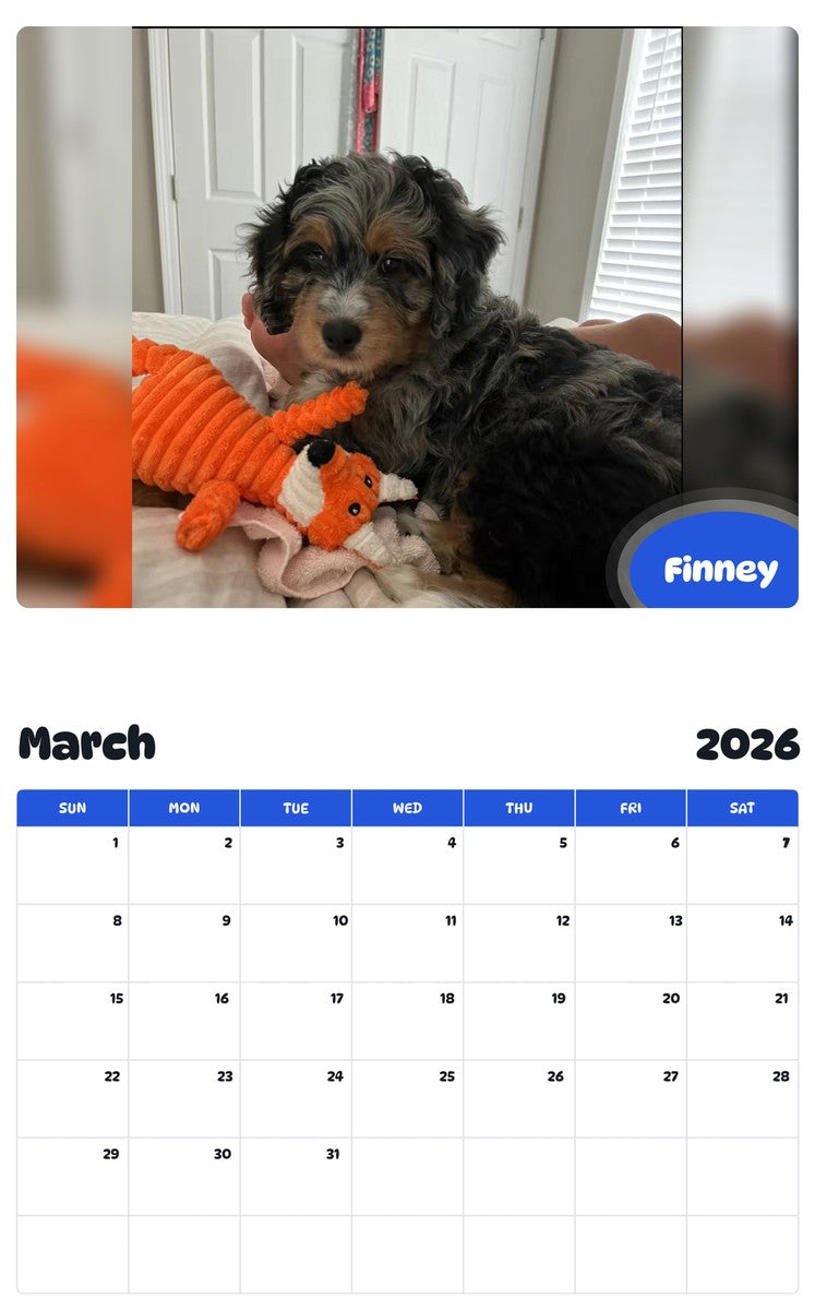 November 2025 - October 2026 Finney - Pawidols Pet Calendar