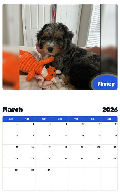 November 2025 - October 2026 Finney - Pawidols Pet Calendar