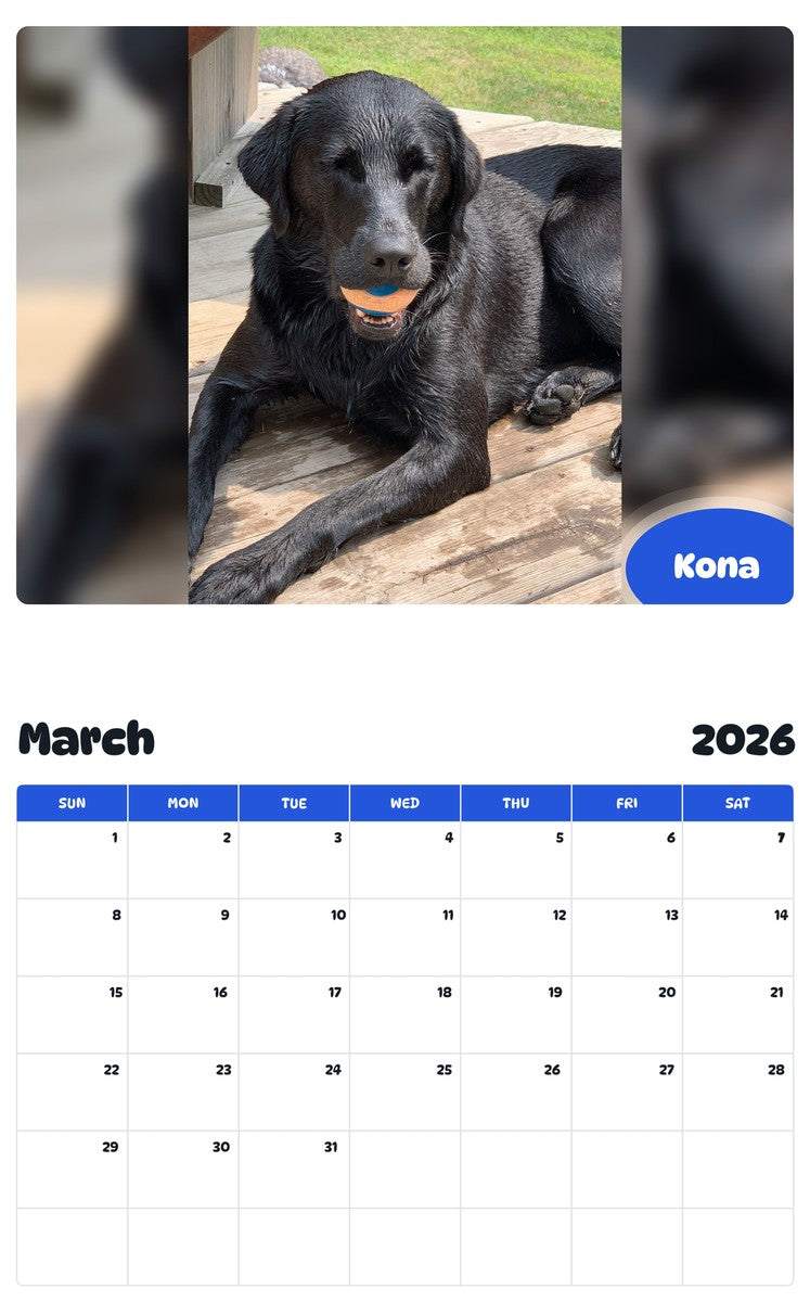 November 2025 - October 2026 Kona - Pawidols Pet Calendar
