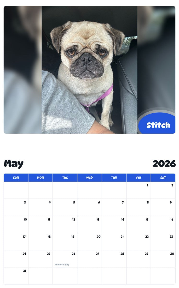 2026 - 2027 Stitch - Pawidols Pet Calendar