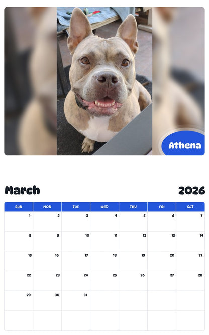 November 2025 - October 2026 Athena - Pawidols Pet Calendar