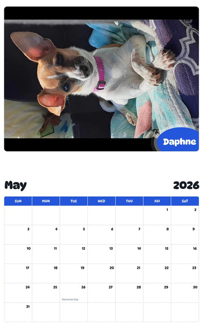 2026 - 2027 Daphne - Pawidols Pet Calendar