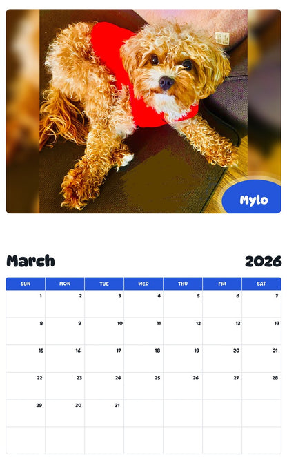 November 2025 - October 2026 Mylo - Pawidols Pet Calendar