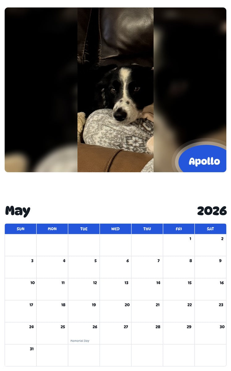 2026 - 2027 Apollo - Pawidols Pet Calendar