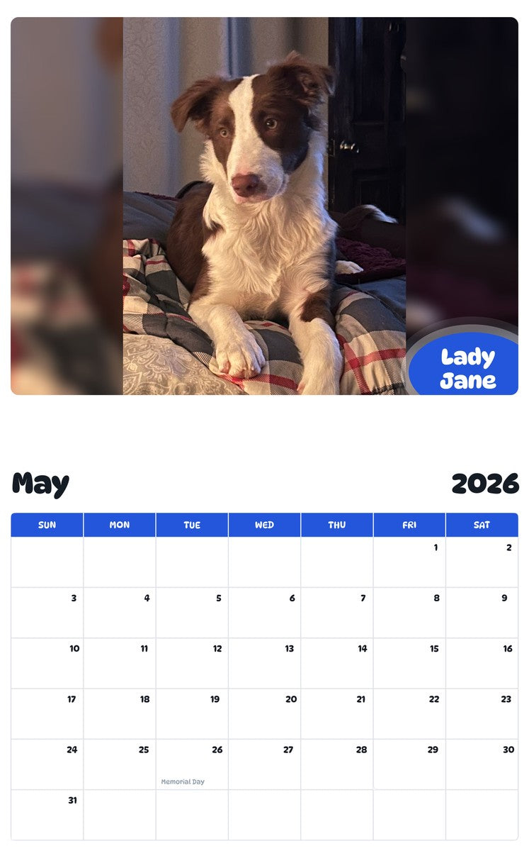 2026 - 2027 Lady Jane - Pawidols Pet Calendar