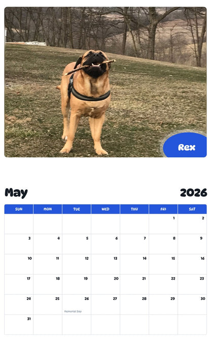 2026 - 2027 Rex - Pawidols Pet Calendar