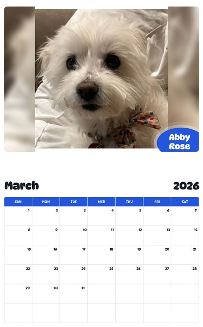 November 2025 - October 2026 Abby Rose - Pawidols Pet Calendar