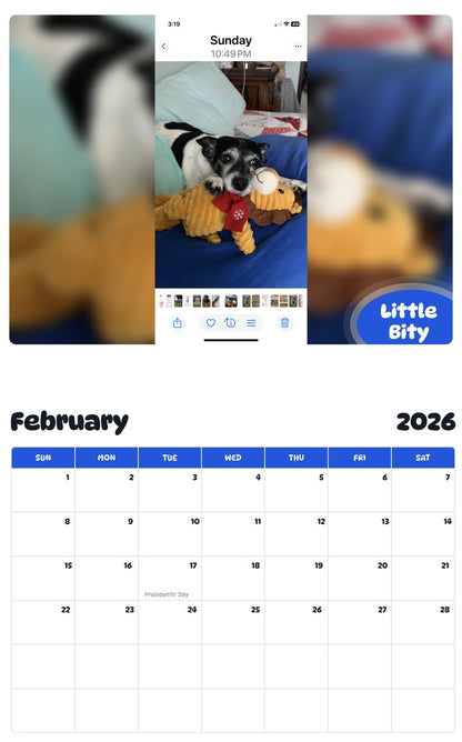 October 2025 - September 2026 Little Bity - Pawidols Pet Calendar