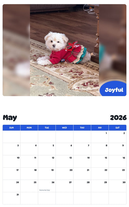 2026 - 2027 Joyful - Pawidols Pet Calendar