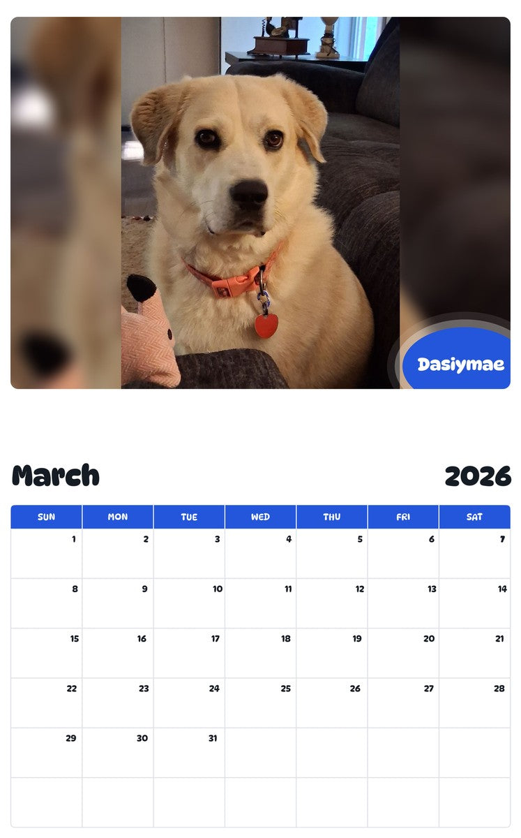 November 2025 - October 2026 Dasiymae - Pawidols Pet Calendar