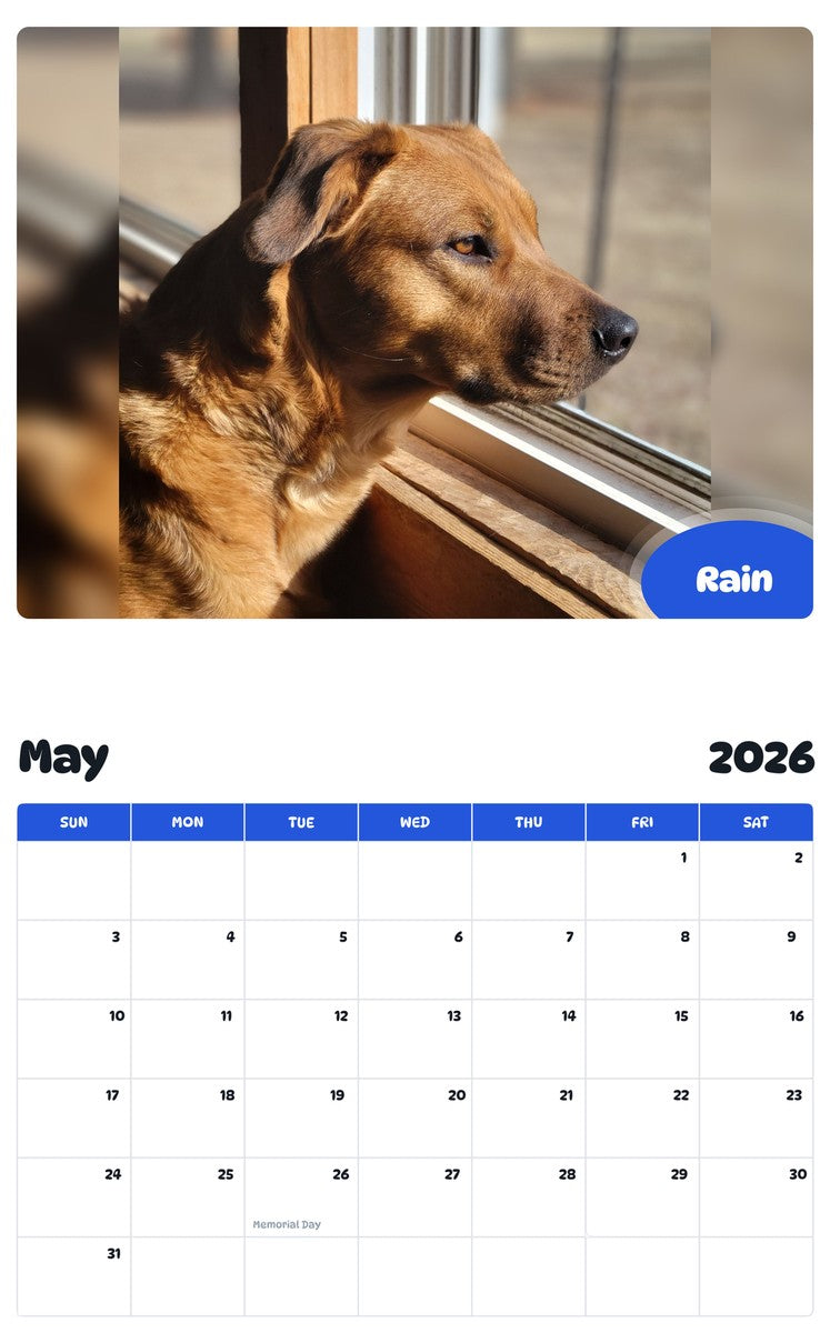 2026 - 2027 Rain - Pawidols Pet Calendar