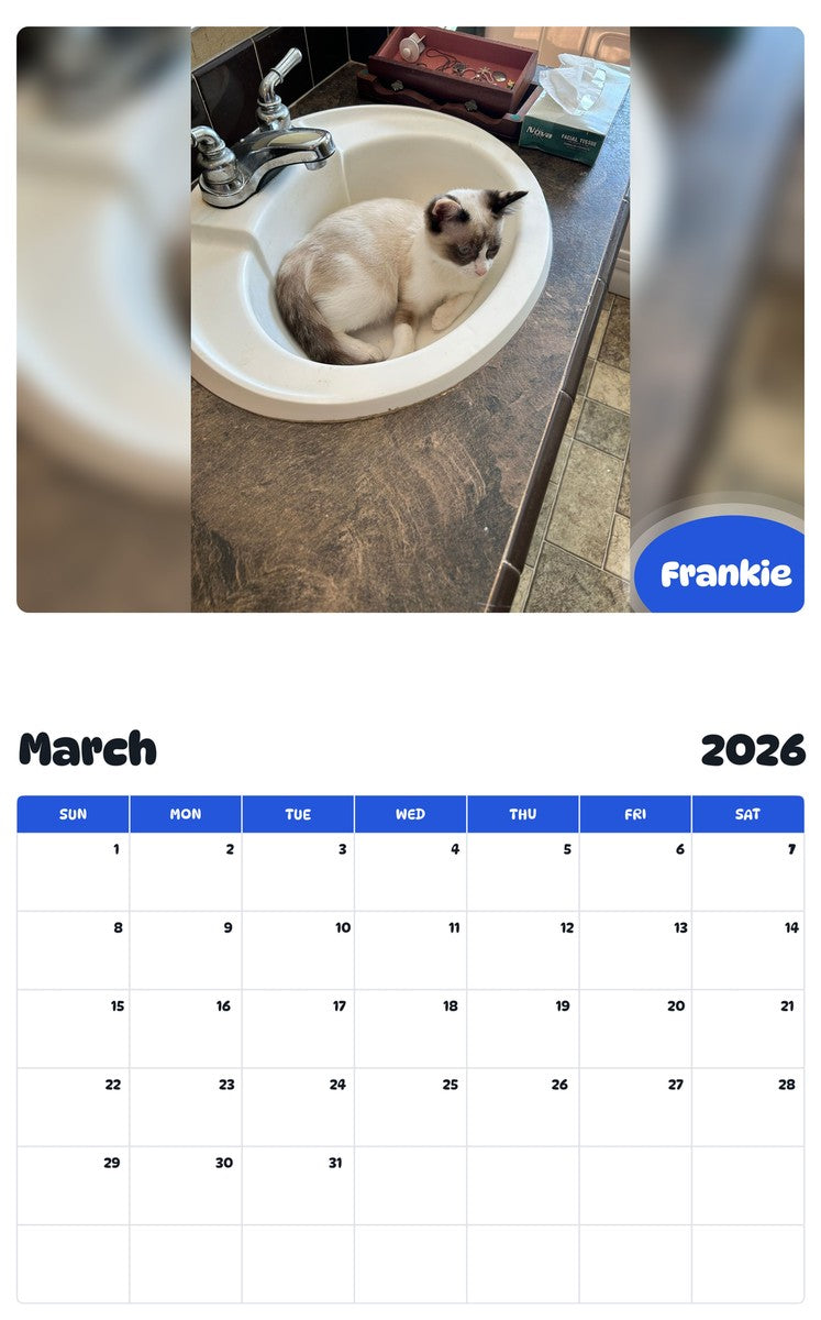 November 2025 - October 2026 Frankie - Pawidols Pet Calendar