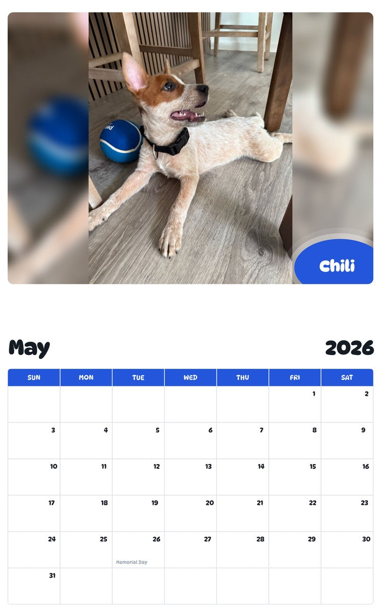 2026 - 2027 Chili - Pawidols Pet Calendar