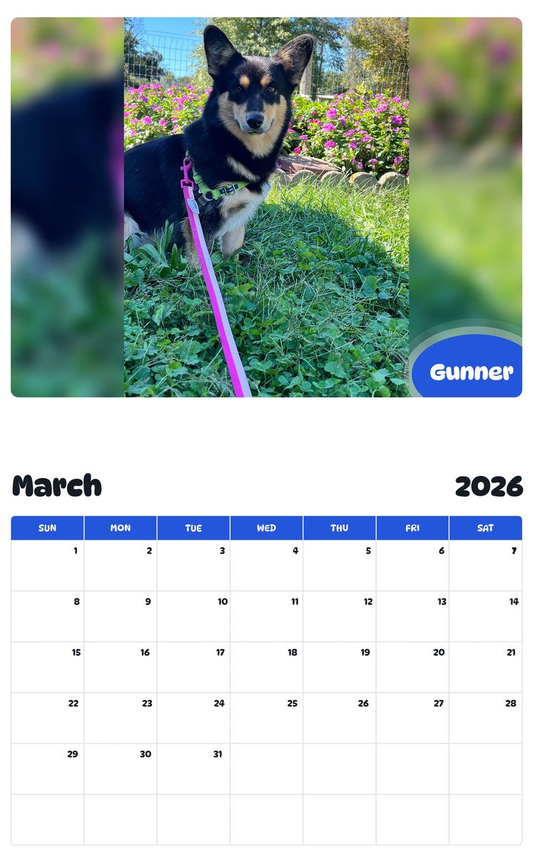 November 2025 - October 2026 Gunner - Pawidols Pet Calendar