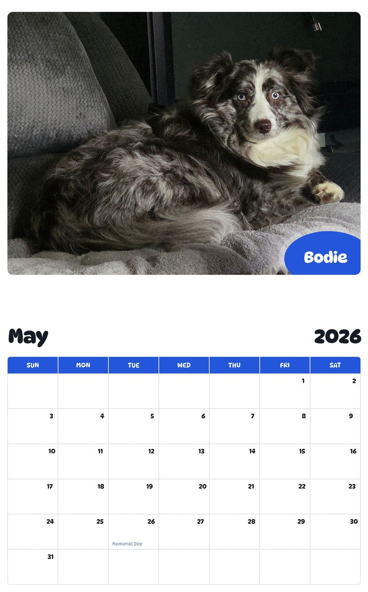 2026 - 2027 Bodie - Pawidols Pet Calendar