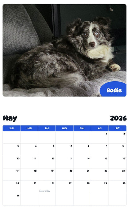2026 - 2027 Bodie - Pawidols Pet Calendar
