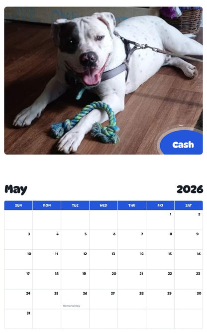 2026 - 2027 Cash - Pawidols Pet Calendar
