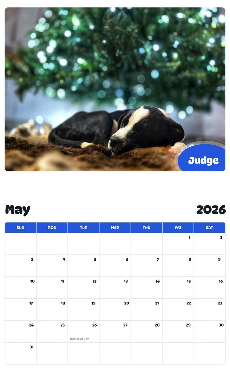 2026 - 2027 Judge - Pawidols Pet Calendar