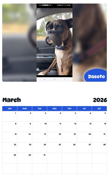 November 2025 - October 2026 Dasoto - Pawidols Pet Calendar