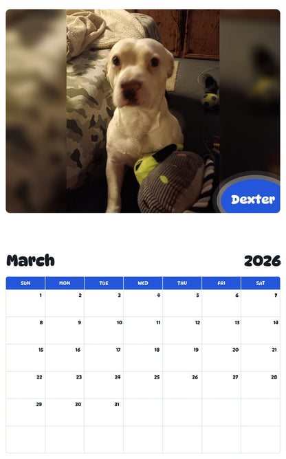 November 2025 - October 2026 Dexter - Pawidols Pet Calendar