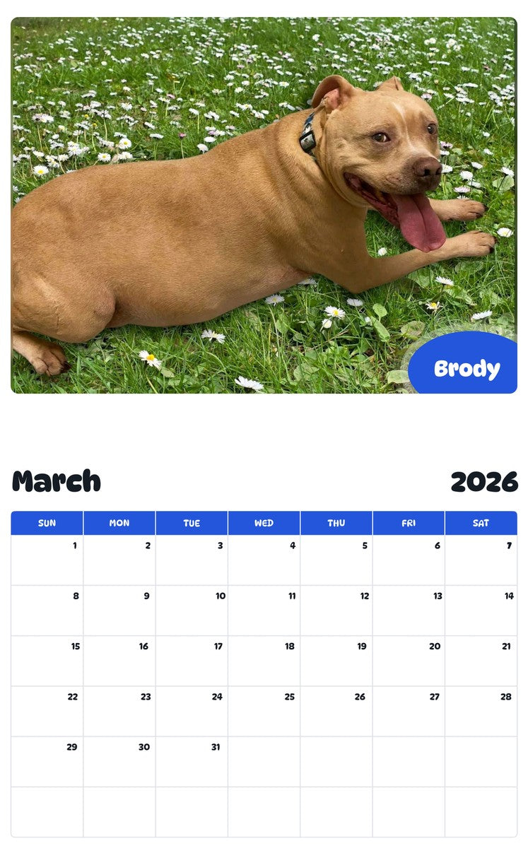 November 2025 - October 2026 Brody - Pawidols Pet Calendar