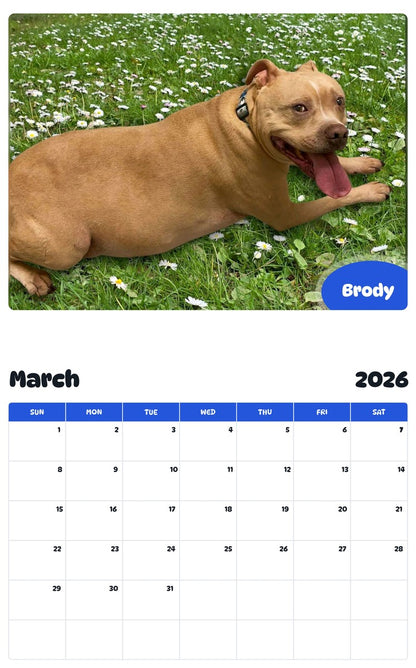 November 2025 - October 2026 Brody - Pawidols Pet Calendar