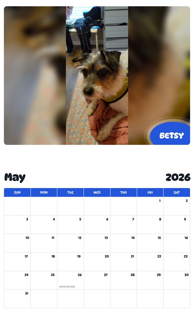 2026 - 2027 BETSY - Pawidols Pet Calendar