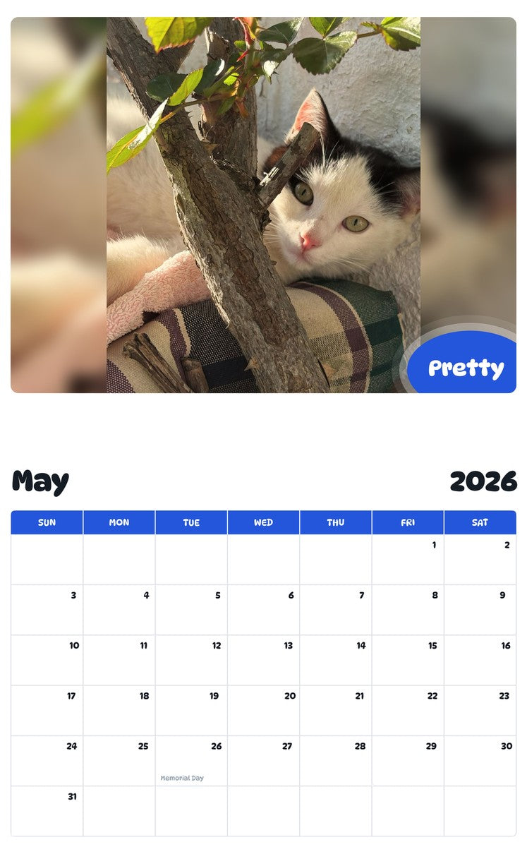 2026 - 2027 Pretty - Pawidols Pet Calendar