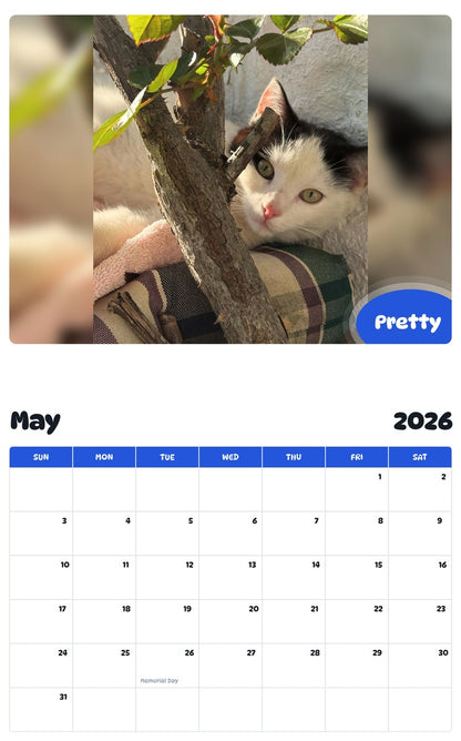 2026 - 2027 Pretty - Pawidols Pet Calendar