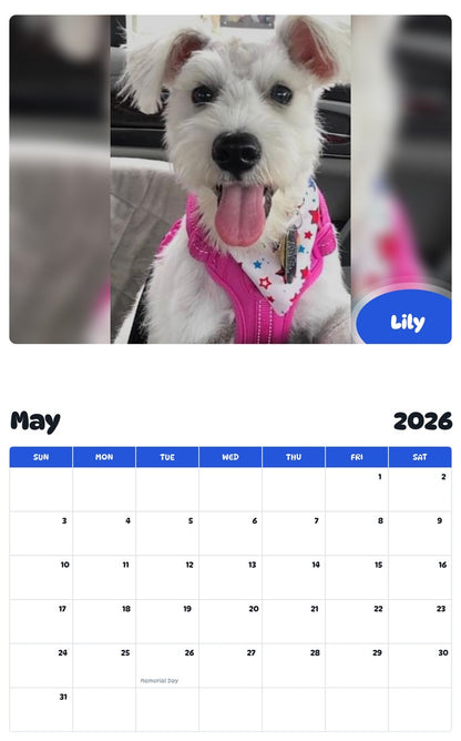 2026 - 2027 Lily - Pawidols Pet Calendar