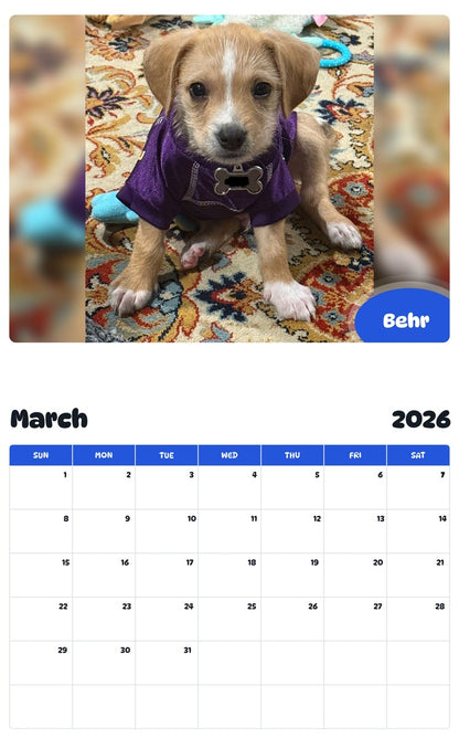 November 2025 - October 2026 Behr - Pawidols Pet Calendar