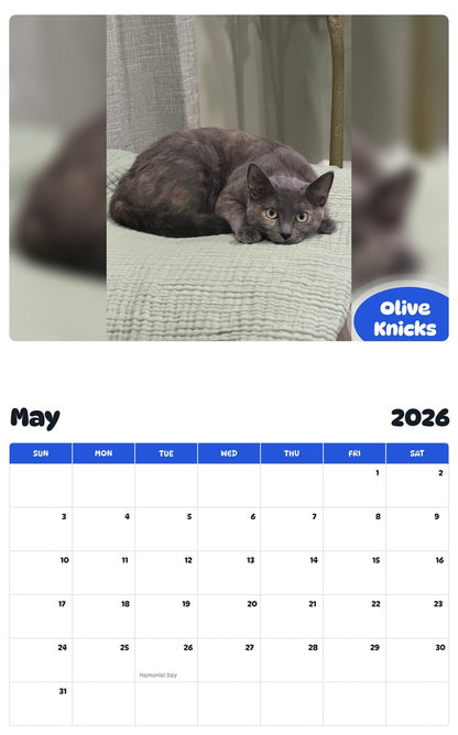 2026 - 2027 Olive Knicks - Pawidols Pet Calendar